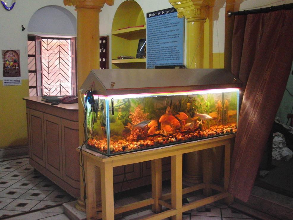 Shivakashi Guest House Varanasi Exterior foto
